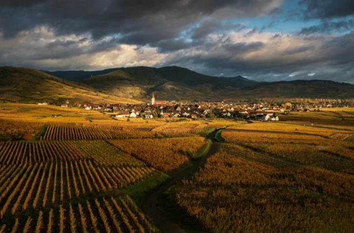 Les vignobles aux alentours du village de Ammerschwihr, dans le Haut-Rhin, le 6 novembre 2023