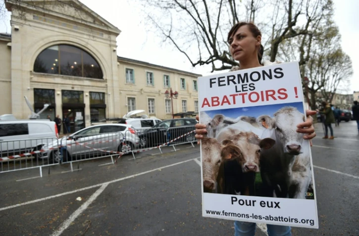 Une militante de L214 à Alès, en France, le 23 mars 2017