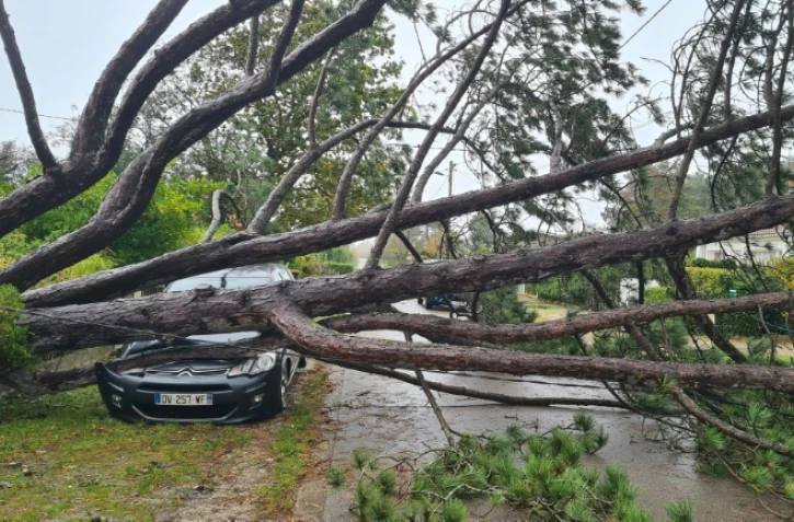 Un arbre tombé sur une voiture après le passage de la tempête Ciaran, le 2 novembre 2023 au Touquet, dans le Pas-de-Calais