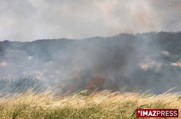 Lundi 6 Juillet 2009
Feu de cannes