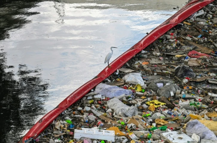 Un oiseau se pose sur une barrière repoussant les déchets le 1er avril 2024 sur une rivière de Manille