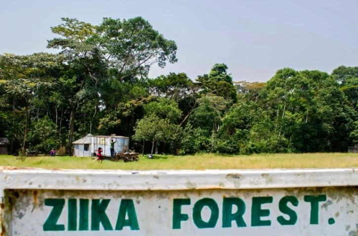 L'entrée de la forêt Zika en Ouganda, le 29 janvier 2016