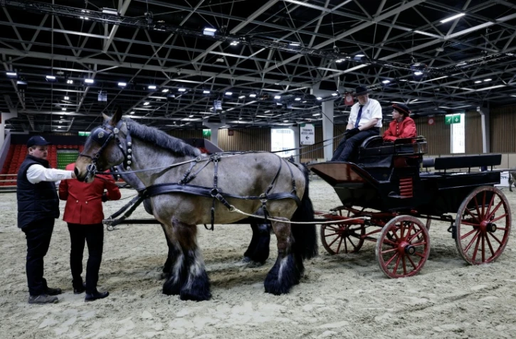 Un attelage de chevaux Trait du Nord avant l’ouverture de l’édition 2026 du Salon de l’agriculture au Parc des expositions de la Porte de Versailles, à Paris, le 20 février 2026