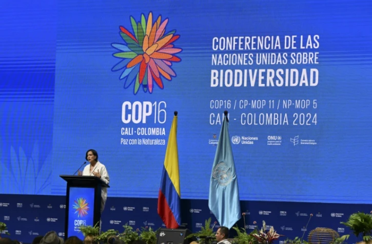 La ministre colombienne de l'environnement et présidente de la COP16 Susana Muhamad, lors de son discours à Cali, en Colombie, le 20 octobre 2024