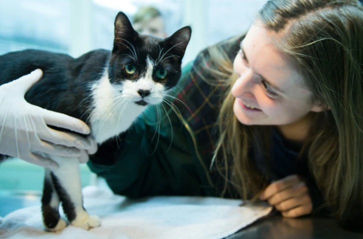 Elena Hanke pose avec son chat Miko, à Berlin, le 26 décembre 2015