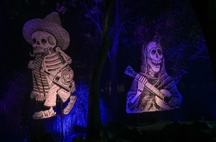 Installation dans le bois de Chapultepec à Mexico City, le 30 octobre 2019, pour les célébrations du Jour des morts