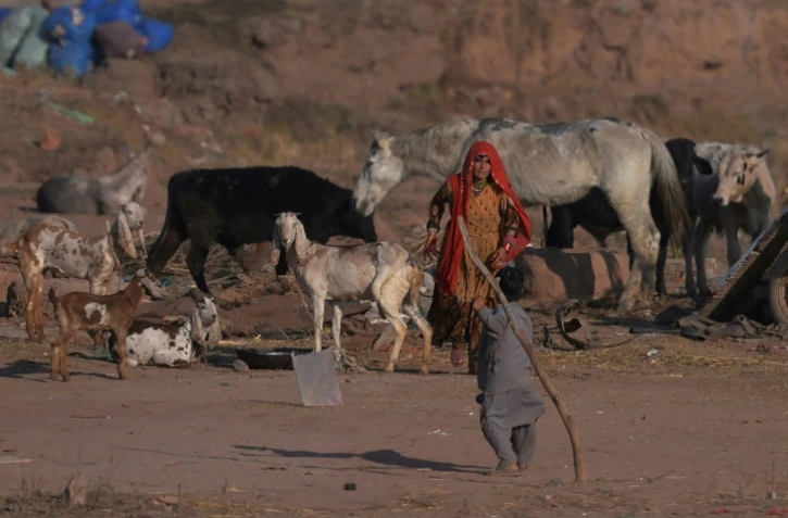 Des réfugiés afghans s'occupent de leur bétail dans un camp de réfugiés près d'Islamabad, le 19 janvier 2018