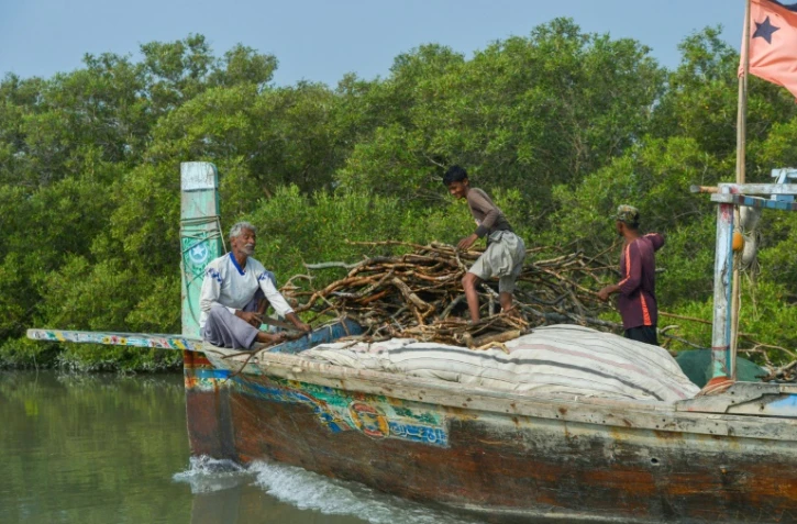Des pĂȘcheurs en bateau le long d'une mangrove, le 18 octobre 2020 prĂšs des cĂŽtes de Karachi, au Pakistan