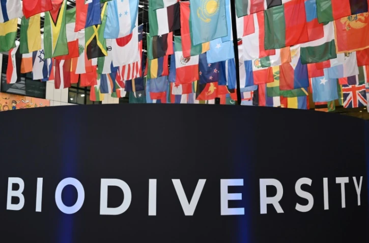 Drapeaux des pays participant à la conférence sur la biodiversité COP16 au siège de l'Organisation des Nations unies pour l'alimentation et l'agriculture (FAO) à Rome, le 25 février 2025