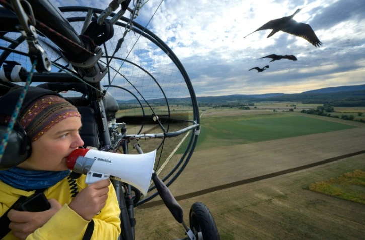 Eszter Bajka, l'une des "mères adoptives" des ibis chauves, les guide pour leur migration, dans la région de Besançon, dans l'est de la France, le 2 septembre 2026