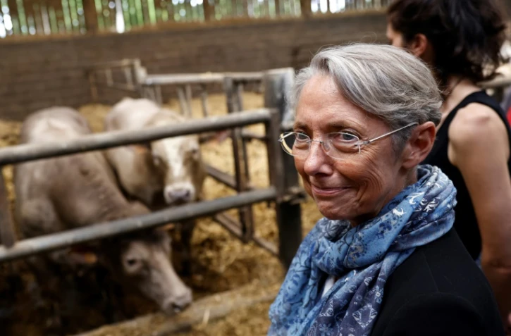 La Première ministre Elisabeth Borne en campagne pour les législatives dans le Calvados le 21 mai 2022