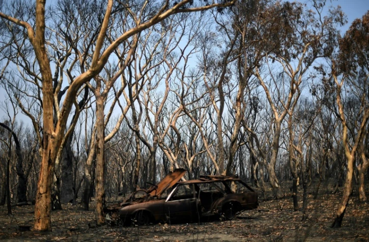 Un véhicule et des arbres calcinés à Lithgow, le 11 janvier 2020 en Australie