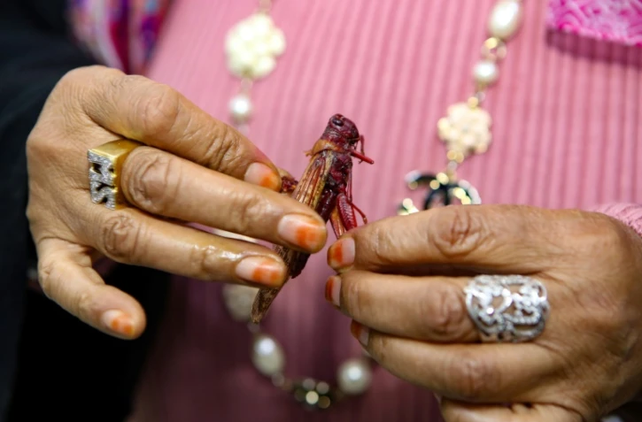 Moudi al-Miftah, journaliste koweïtienne de 64 ans, montre un criquet qu'elle vient de cuisiner dans sa maison à Al-Ahmadi, à 35 km au sud de la ville de Koweït, le 25 janvier 2020