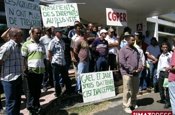 Manifestation des maraîchers devant la direction de l'agriculture et de la forêt