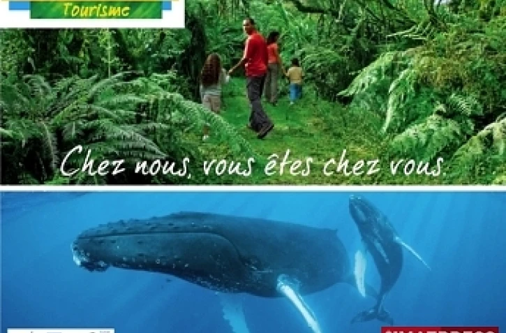 Visuel de campagne publicitaire de l'IRT