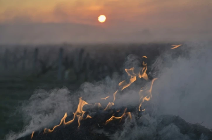 Ballot de paille enflammé en bordure de vignes pour lutter contre le gel à l'aube à Vernou-sur-Brenne, en Indre-et-Loire, le 4 avril 2022
