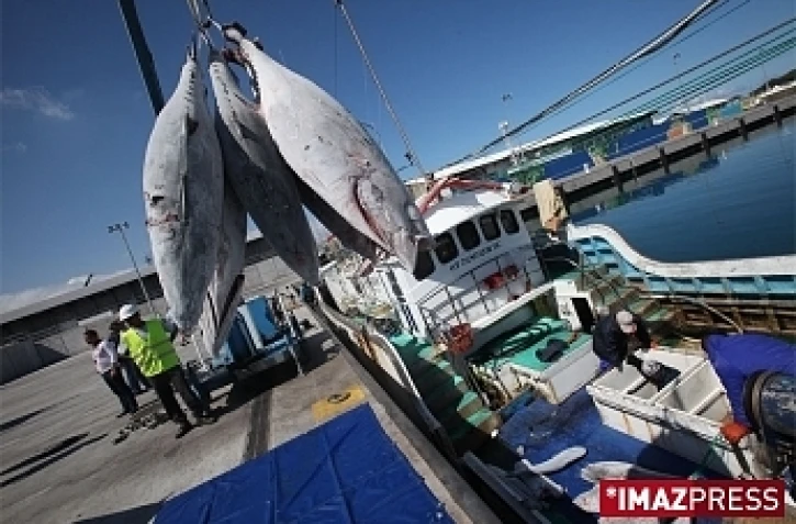 Mardi 13 Octobre 2009

Déchargement du Lingsar 08