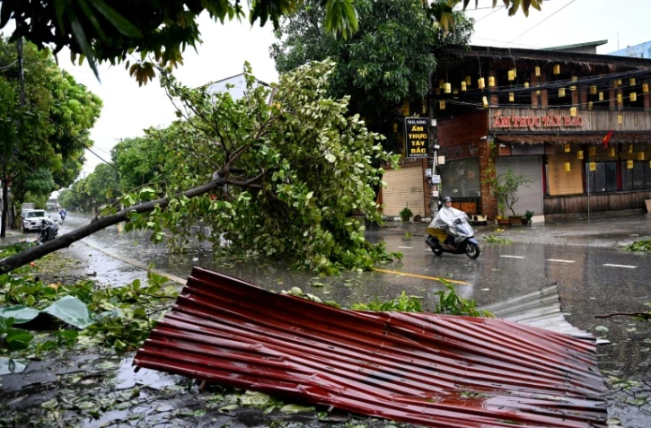 Un arbre abattu par le passage du typhon Kajiki  à Vinh, dans la province de Nghe An, le 26 août 2025 au Vietnam