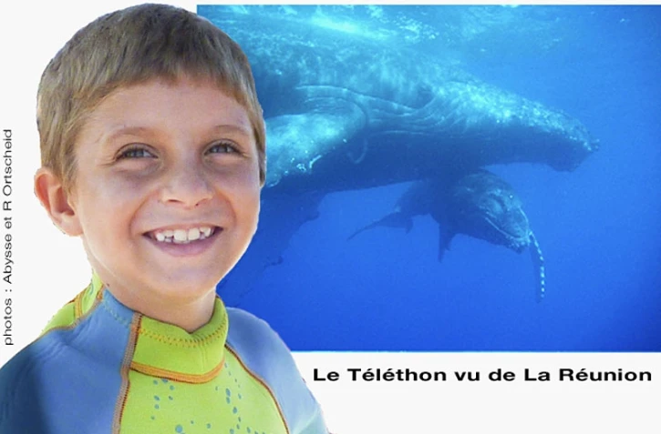 affiche d'un reportage "Etienne et les baleines", qui sera diffusé sur RFO et France Télévision durant le Téléthon prévu les 4 et 5 décembre 2009.