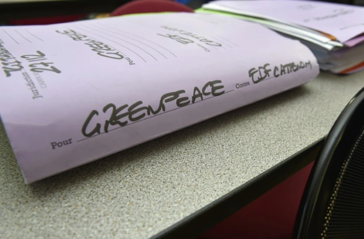 Un dossier du procès contre huit militants de Greenpeace jugés à Thionville le 27 février 2018, pour s'être introduits dans la centrale nucléaire de Cattenom  