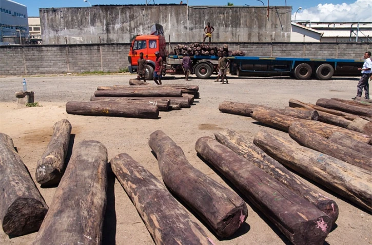 Chargement de bois de rose au port de Tamatave (Madagascar)

Photo Pierre Yves Babelon