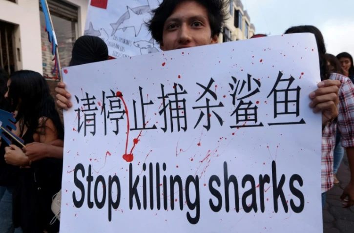 Des habitants de l'île de Santa Cruz aux Galapagos manifestent le 14 août 2017 pour s'opposer à la pêche aux requins pratiquée par des navires chinois