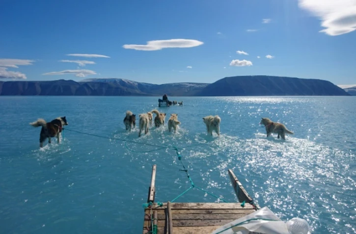 Photo prise le 13 juin 2019 par Steffen Olsen de l'Institut danois de météorologie (DMI) montrant des chiens de traîneau  sur la glace fondue de la banquise dans le nord-ouest du Groenland