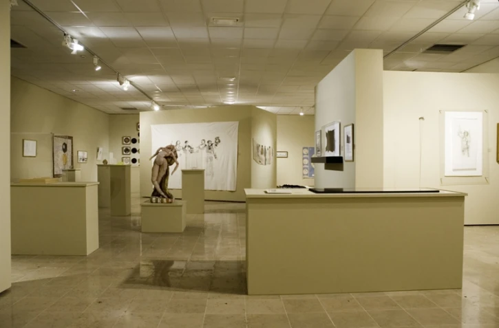 Exposition &quot;Métissages&quot; au musée Léon Dierx (Saint-Denis)