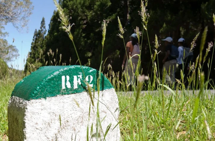 Balade dans la  forêt de Bélouve