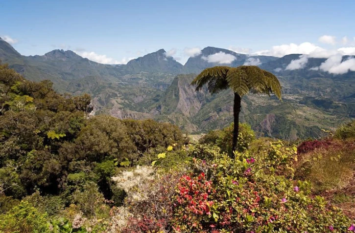 Balade dans la  forêt de Bélouve