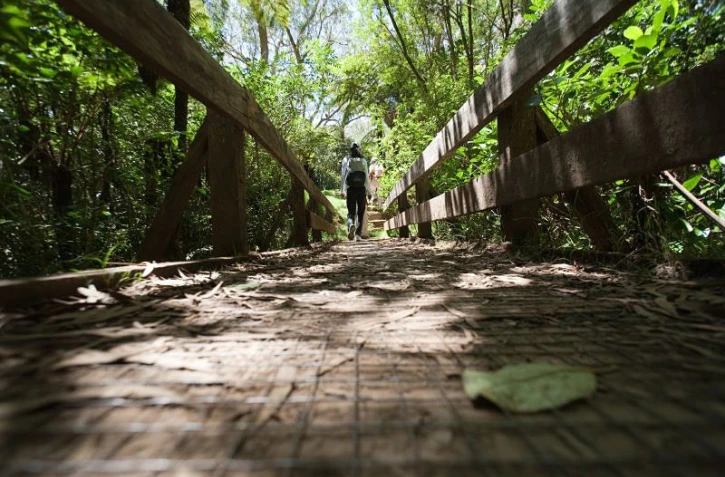 Balade dans la  forêt de Bélouve