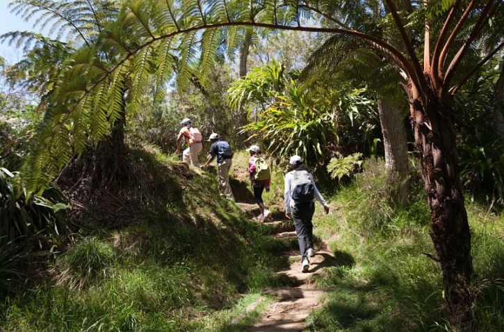 Balade dans la  forêt de Bélouve