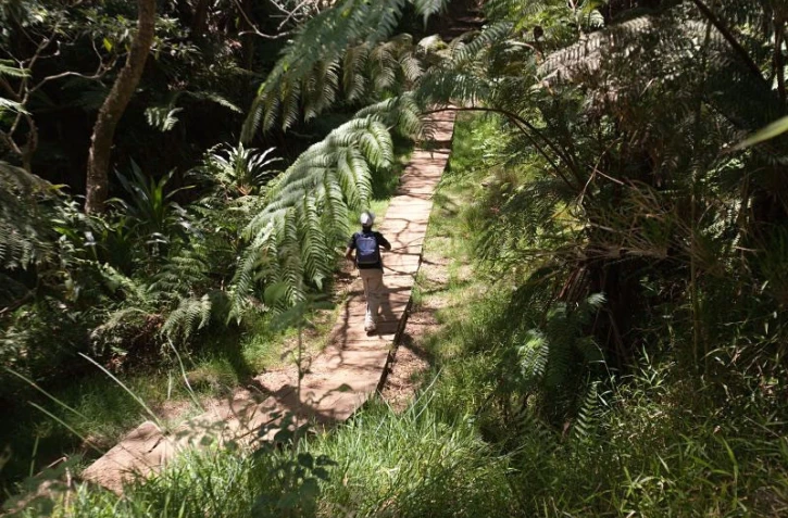 Balade dans la forĂȘt de BĂ©louve