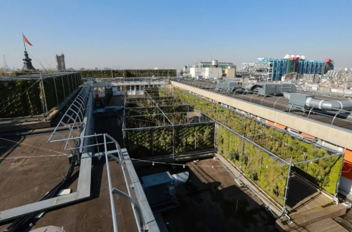 Un jardin suspendu sur le toit du BHV Marais à Paris, le 27 février 2019