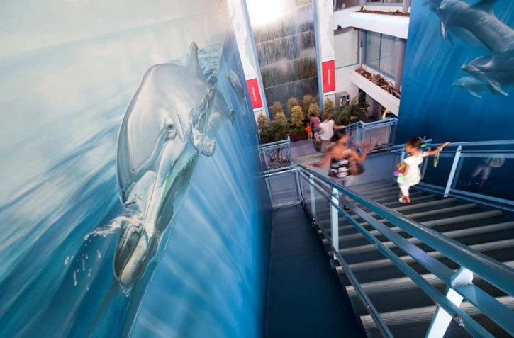L'aquarium de La Réunion à Saint-Gilles