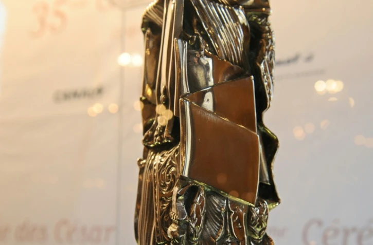 Isabelle Huppert dans "Elle", Marion Cotillard dans "Mal de pierres" et Virginie Efira dans "Victoria", côté actrices, et François Cluzet pour "Médecin de campagne", Gaspard Ulliel pour "Juste la fin du monde" et Omar Sy pour "Chocolat", côté acteurs, font partie des nommés pour les César 2017 qui seront remis le 24 février à Paris