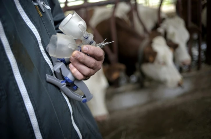 Les vétérinaires ruraux se font de plus en plus rares dans les étables