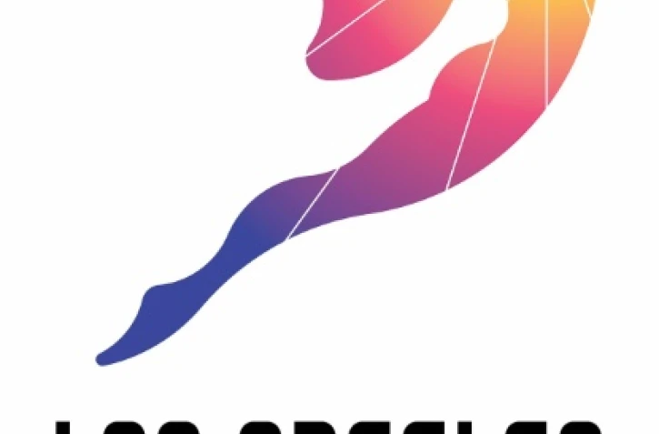 Soupçonné d'acheter des fans sur Facebook, Los Angeles montre Paris du doigt, ville également candidate aux JO-2024