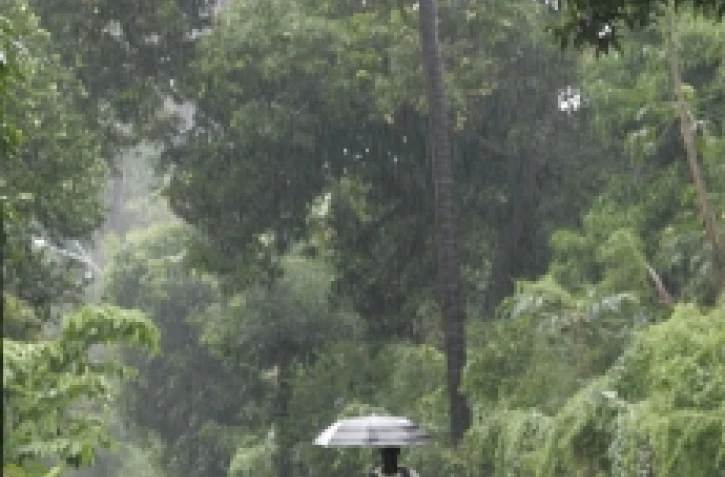 Pluie