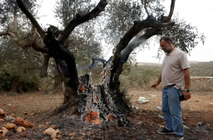Un Palestinien regarde un olivier incendié près de Ramallah, en Cisjordanie, le 16 octobre 2026