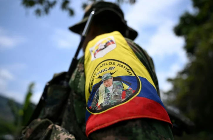 Un membre du Front Carlos Patino, faction de la dissidence des Farc, près de champs de coca dans le canyon del Micay, dans le département du Cauca, le 24 mars 2024 en Colombie 