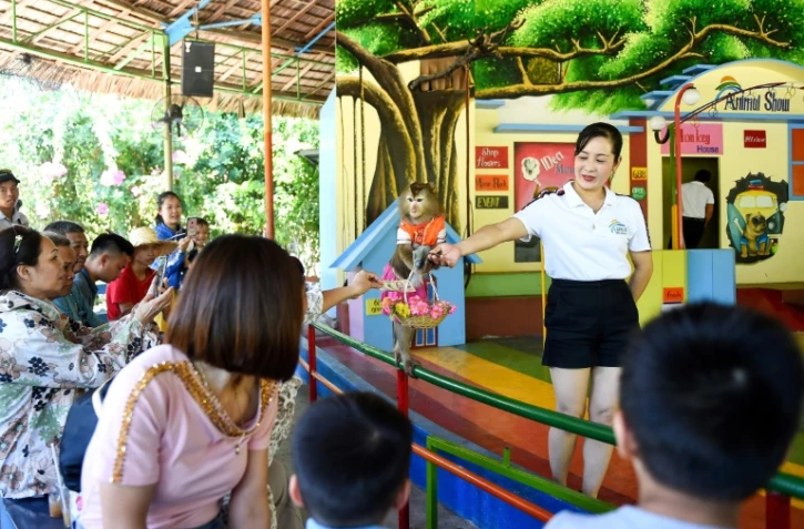Un singe déguisé lors d'une représentation devant des touristes à l'île aux singes, à Nha Trang au Vietnam, le 22 août 2019.