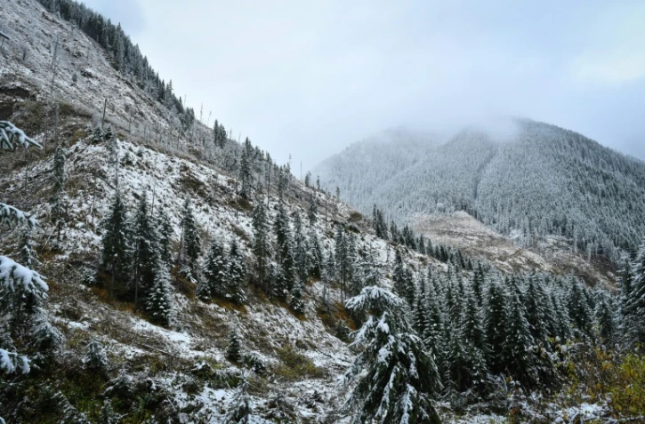 Les monts Fagaras dans les Carpates, près de Nucsoara, dans le centre de la Roumanie, le 31 octobre 2019