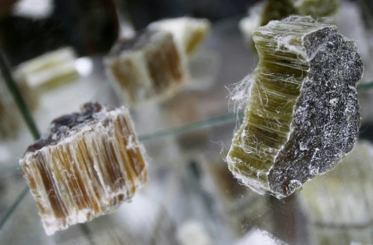 Amiante en vrac dans une usine désaffectée, le 21 juin 2012 à Caligny (Normandie), dans le nord-ouest de la France