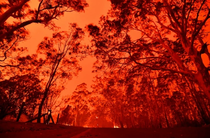 Le ciel de l'après-midi rouge à cause des feux de brousse dans la zone autour de la ville de Nowra dans l'état australien de la Nouvelle-Galles du Sud, le 31 décembre 2019