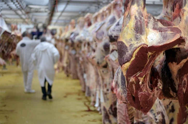 La viande polonaise écoulée frauduleusement en France localisée mais complexe à retirer