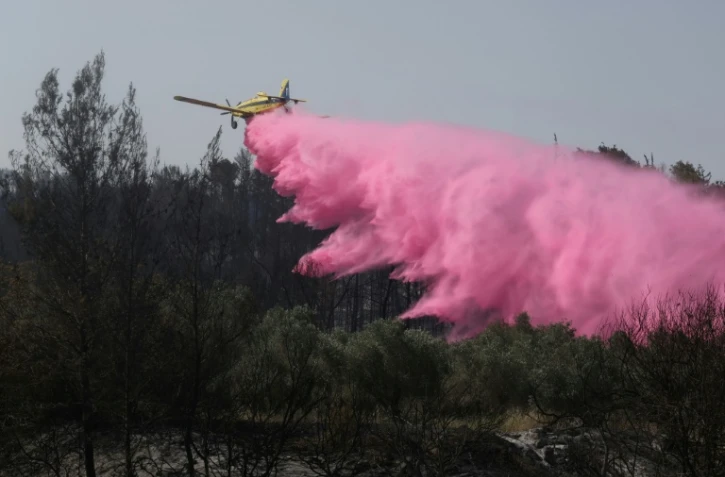 Un avion de lutte contre les incendies près de Bet Shemesh, dans le centre d'Israël, le 1er mai 2025