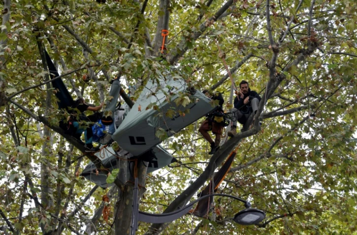 Thomas Brail, opposant au projet d'autoroute Toulouse-Castres, installé dans un arbre face au ministère de la Transition écologique, le 18 septembre 2023 à Paris