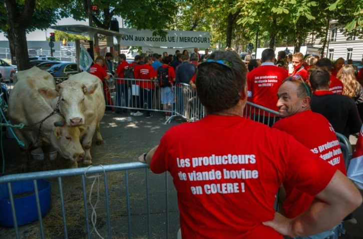 Des éleveurs et des membres de la Fédération nationale bovine manifestent près de l'ambassade du Brésil à Paris, le 9 juillet 2025