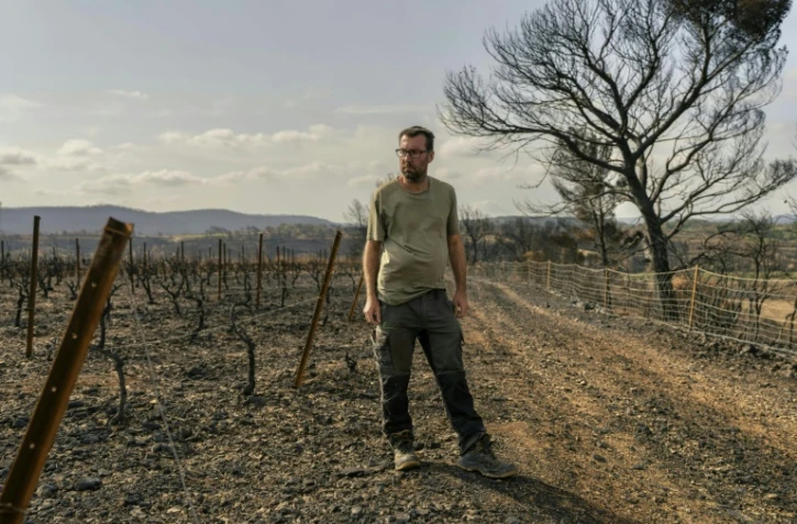 Le vigneron Laurent Bachevillier, qui a perdu toute sa récolte lors de l'incendie géant qui a ravagé les Corbières, le 22 août 2025 dans son domaine "Les Cascades", à Tournissan, dans l'Aude   
